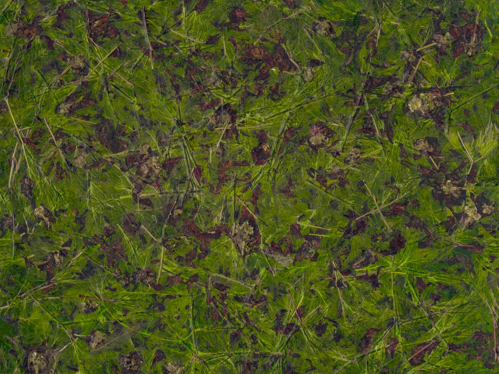 NT-2688 Blumen-Blueten Newdeco Farben-Frikell WTB