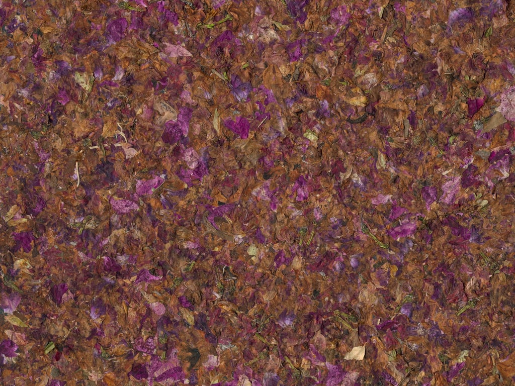 NT-2488 Blumen-Blueten Newdeco Farben-Frikell WTB