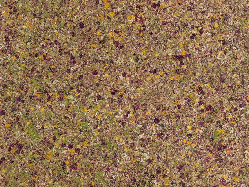 NT-2532 Blumen-Blueten Newdeco Farben-Frikell WTB