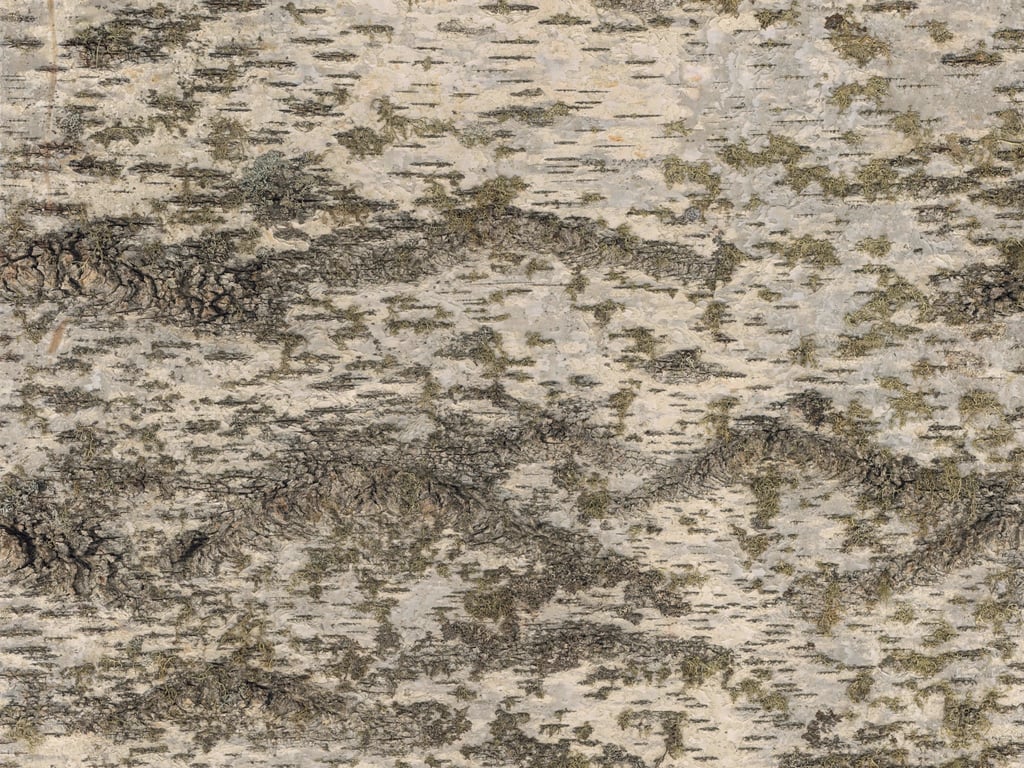 Newdeco BAUMRINDE NT-2469 Farben-Frikell WTB