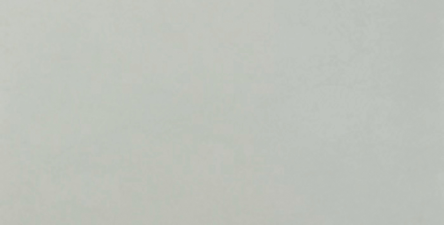 Newdeco STONE S-245 | pastellgrüner Betonputz Newdeco Farben-Frikell WTB