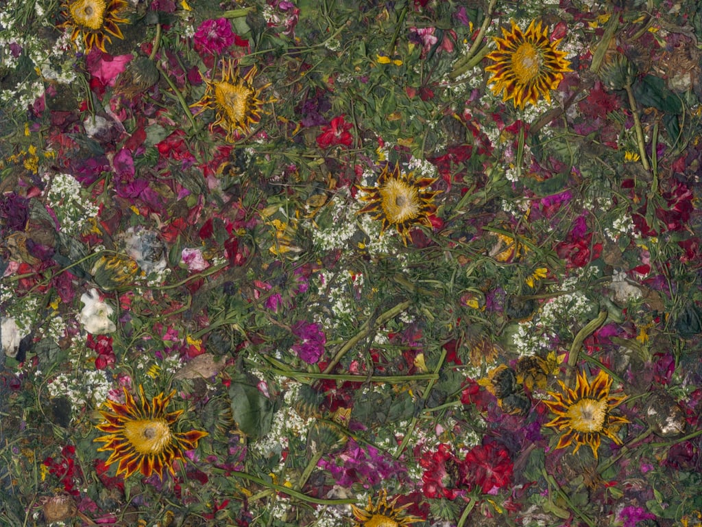 NT-2451 Blumen-Blueten Newdeco Farben-Frikell WTB