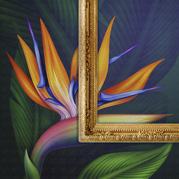 Wall Art Druckfolien Wall Art Druckfolien