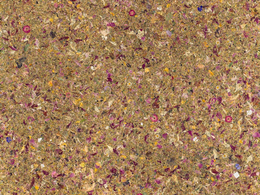 NT-2684 Blumen-Blueten Newdeco Farben-Frikell WTB