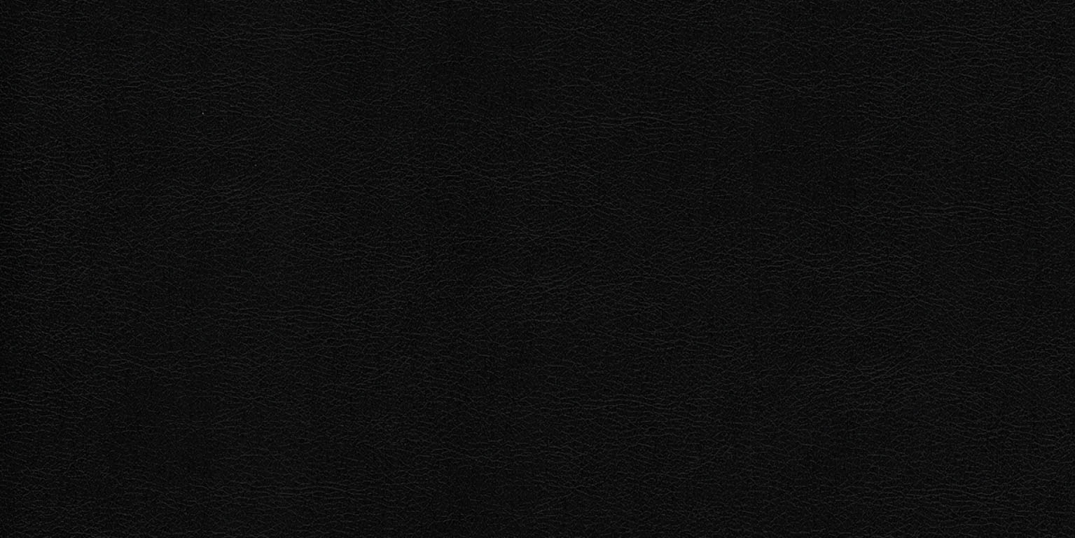 Newdeco LEATHER L-507 | Vinylleder Newdeco Farben-Frikell WTB