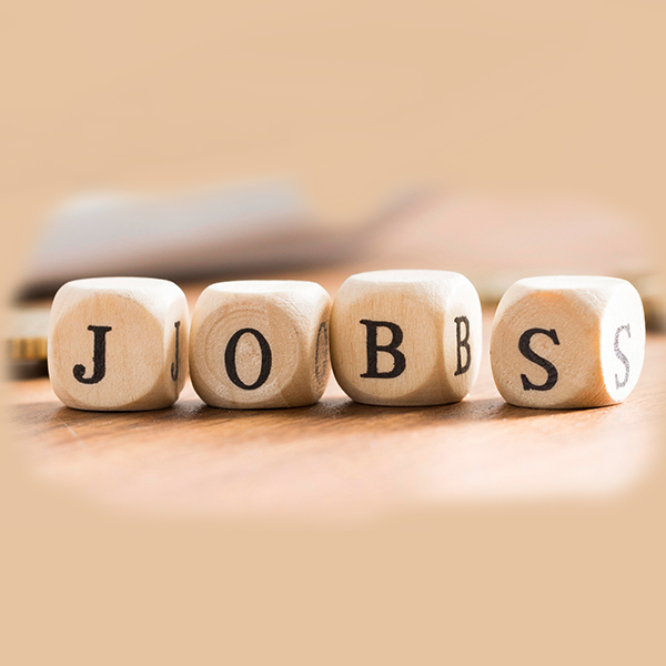 Job-Angebote
