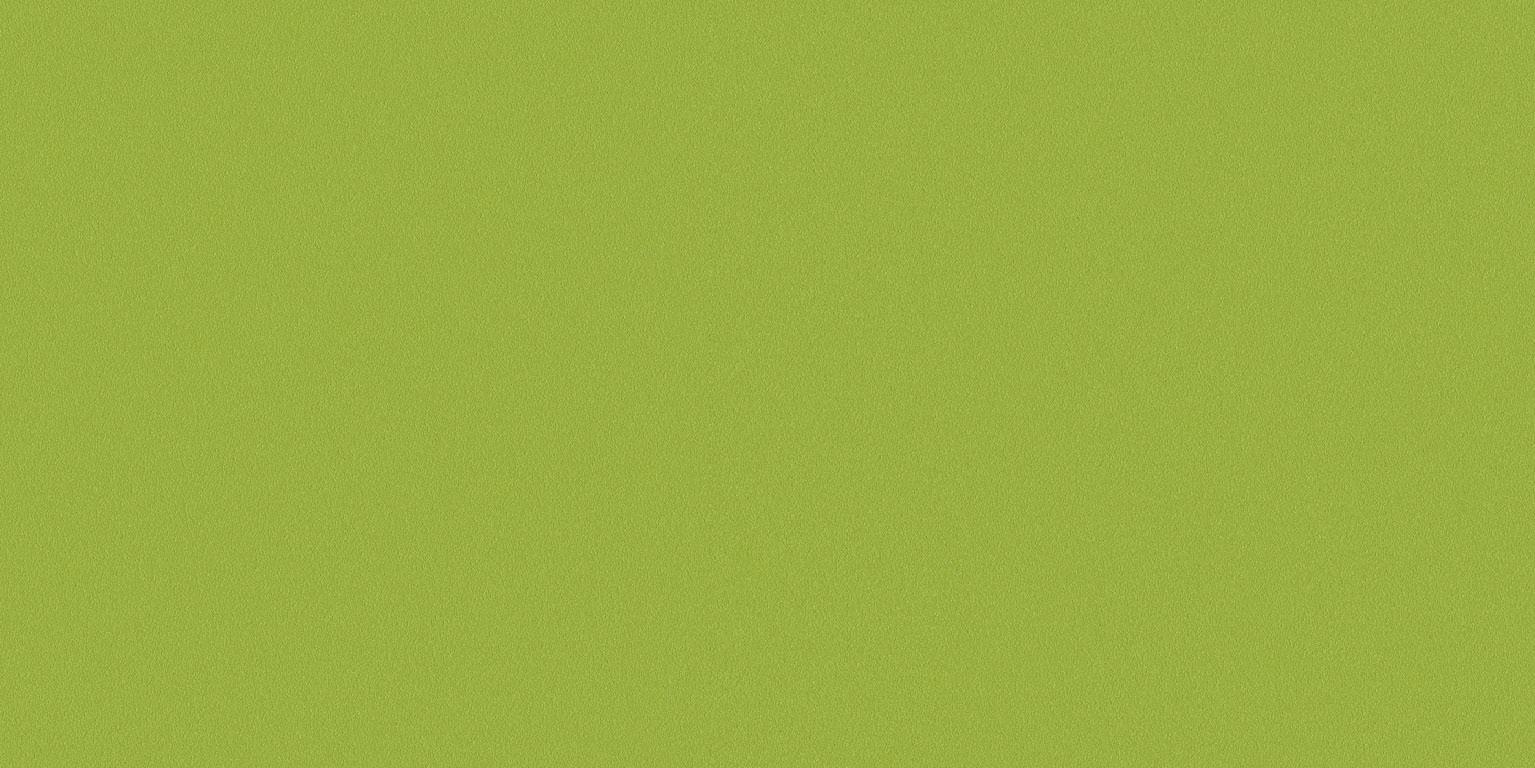 Newdeco COLOUR C-865 | waldmeistergrün Newdeco Farben-Frikell WTB