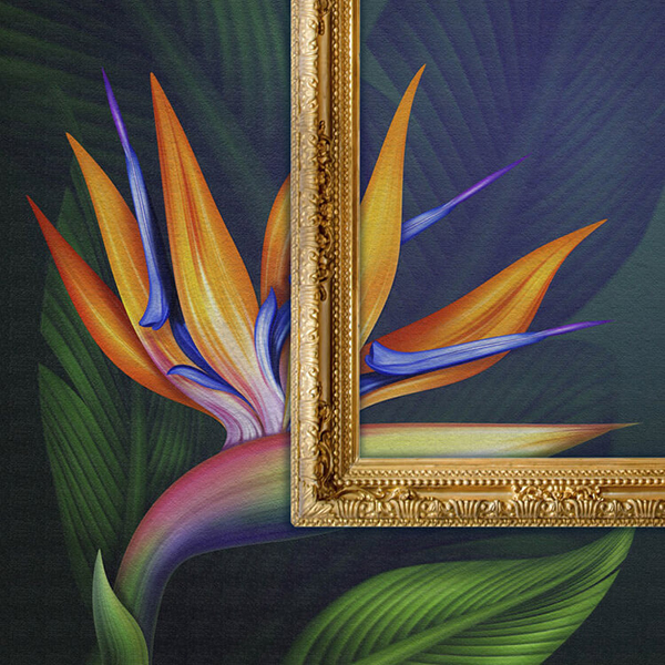 WW Canvas MACtac Deutschland Farben-Frikell WTB