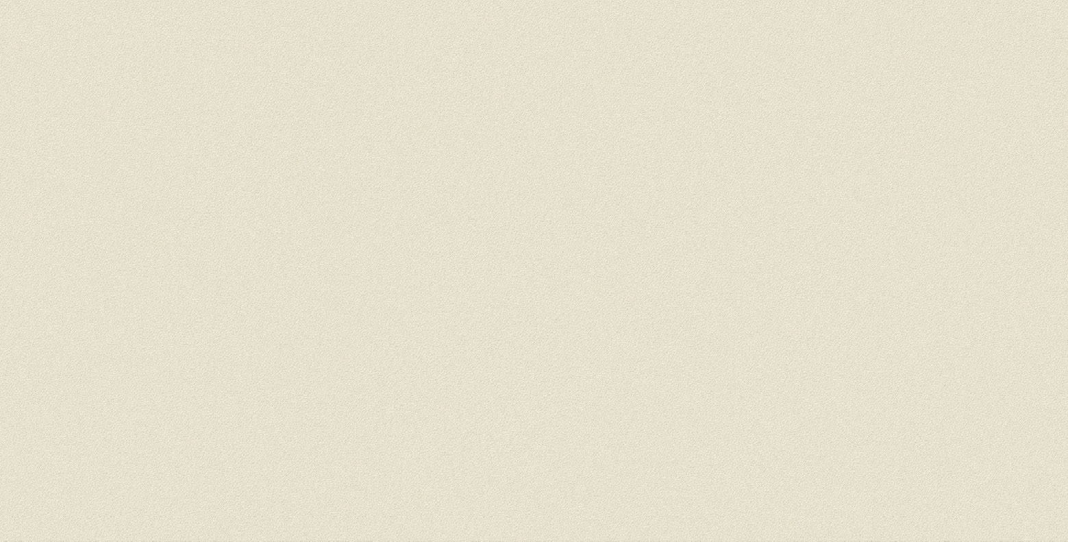 Newdeco STONE S-443 | beiger Betonputz Newdeco Farben-Frikell WTB