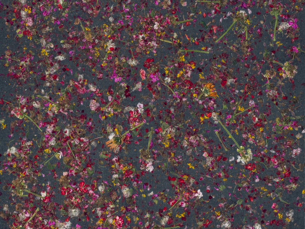 NT-2408 Blumen-Blueten Newdeco Farben-Frikell WTB