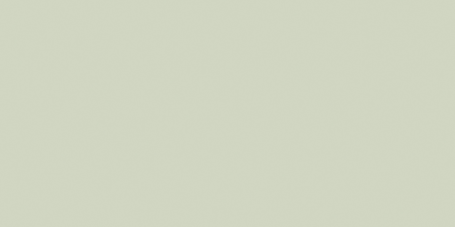 Newdeco MATT COLOUR MC-879 | pastellgraugrün Newdeco Farben-Frikell WTB