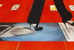 Premium FloorProtect R12 ASLAN MP 300