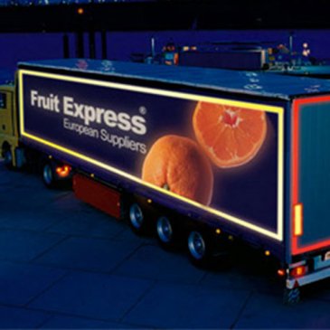 Oralite 5600E Oralite 5600E