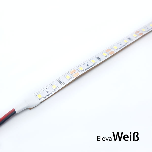 LED Band Eleva WP 5m 8mm