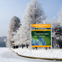 ORAJET® 3551DT ORAJET® 3551DT