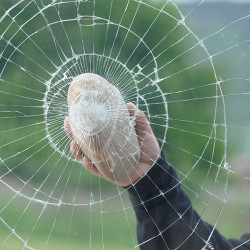 Gebäude-Sicherheitsfolie